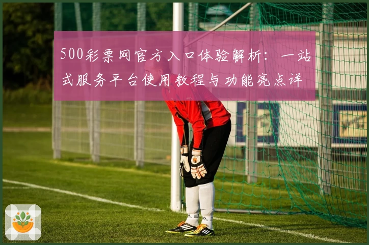 500彩票网官方入口体验解析：一站式服务平台使用教程与功能亮点详解